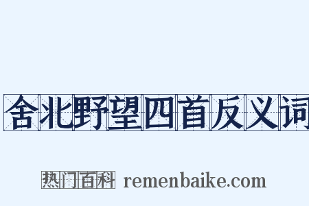 舍北野望四首反义词是什么意思的图片
